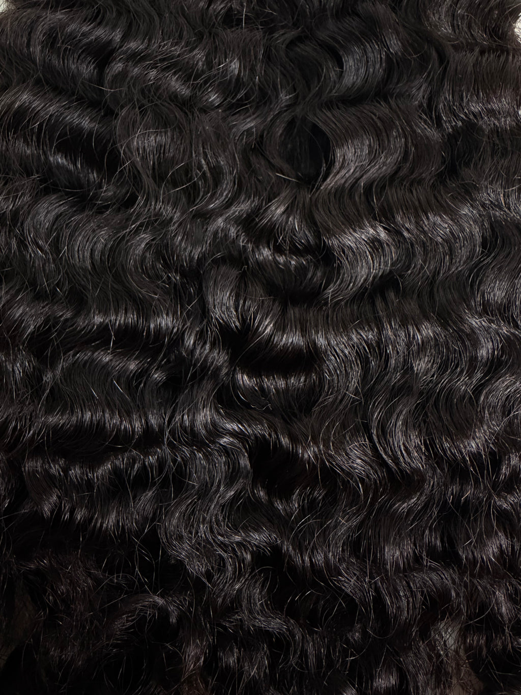 BURMESE CURLY FRONTAL