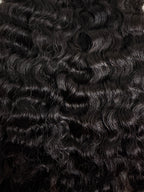 BURMESE CURLY FRONTAL