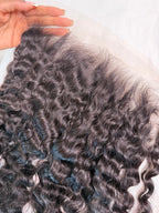 BURMESE CURLY FRONTAL