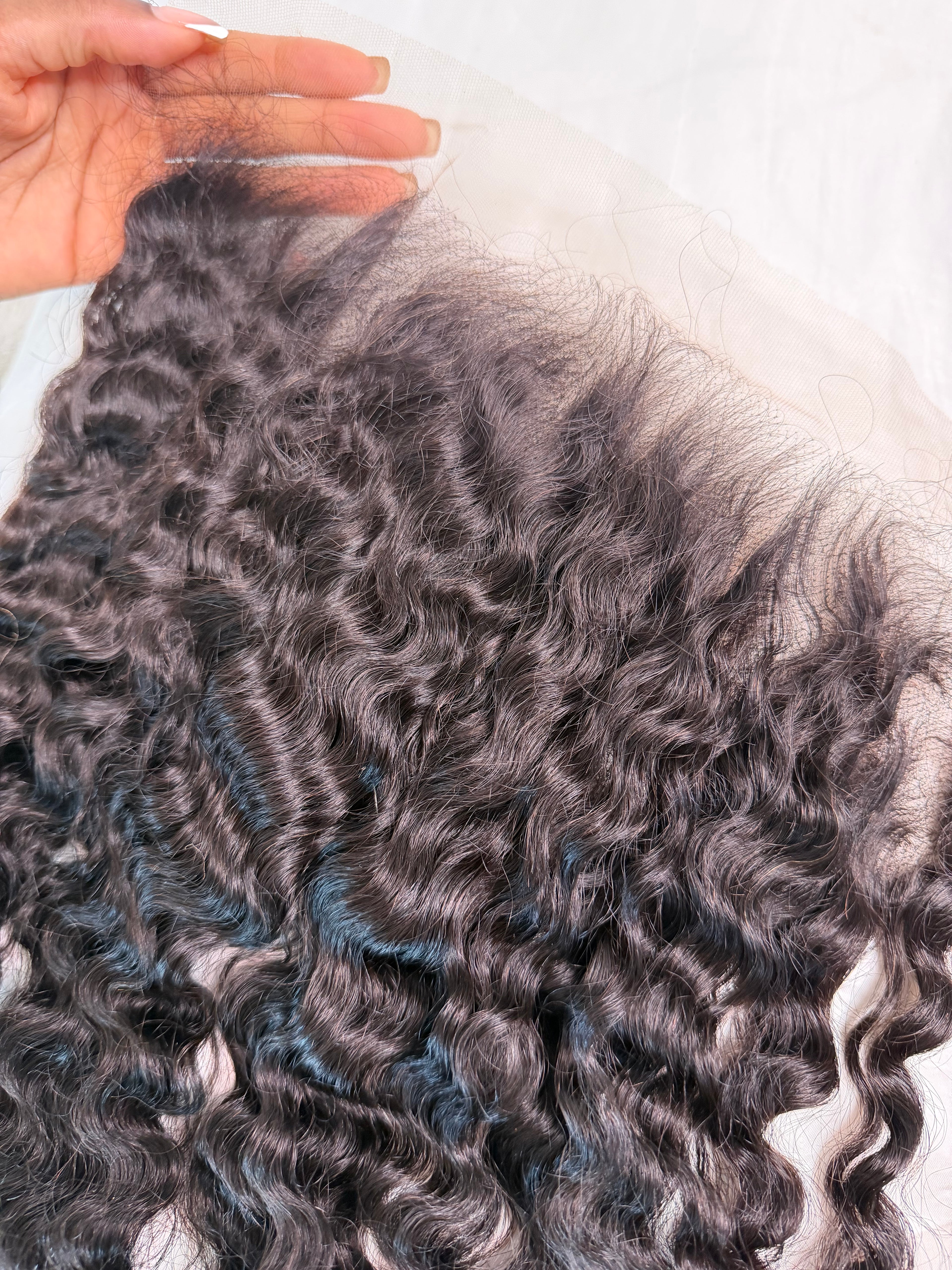 BURMESE CURLY FRONTAL